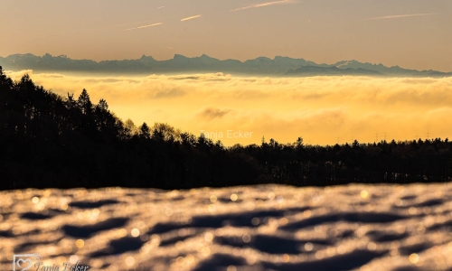 Atdorf_18-12-2021-7