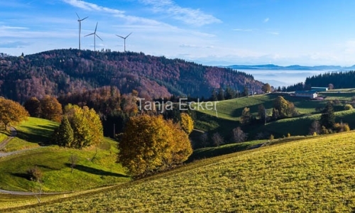 Gresgen-Adelsberg_30-10-2021-14