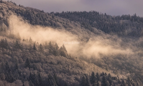 Hotzenwald_10-01-2022-5