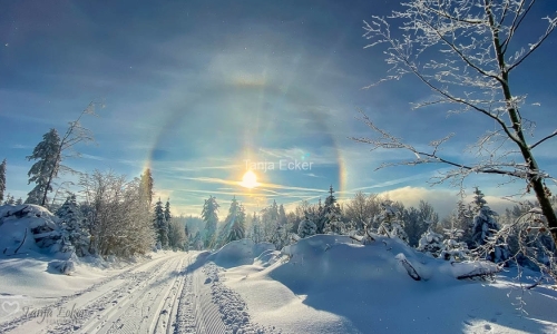 Odland_12-01-2022