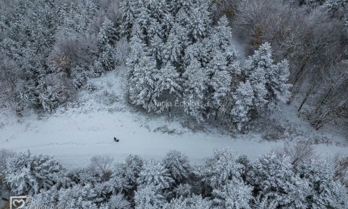 Schnee_Wehr-22-11-2024-20