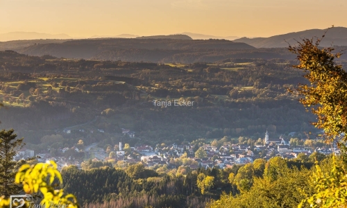 Wehr-141828-10-2021-8