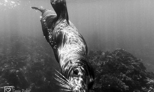 GalapagosIslands