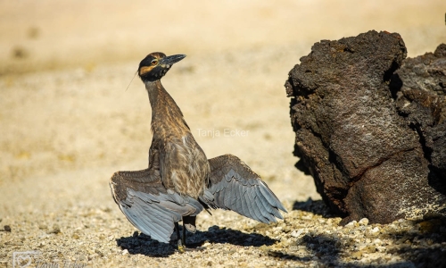 GalapagosIslands